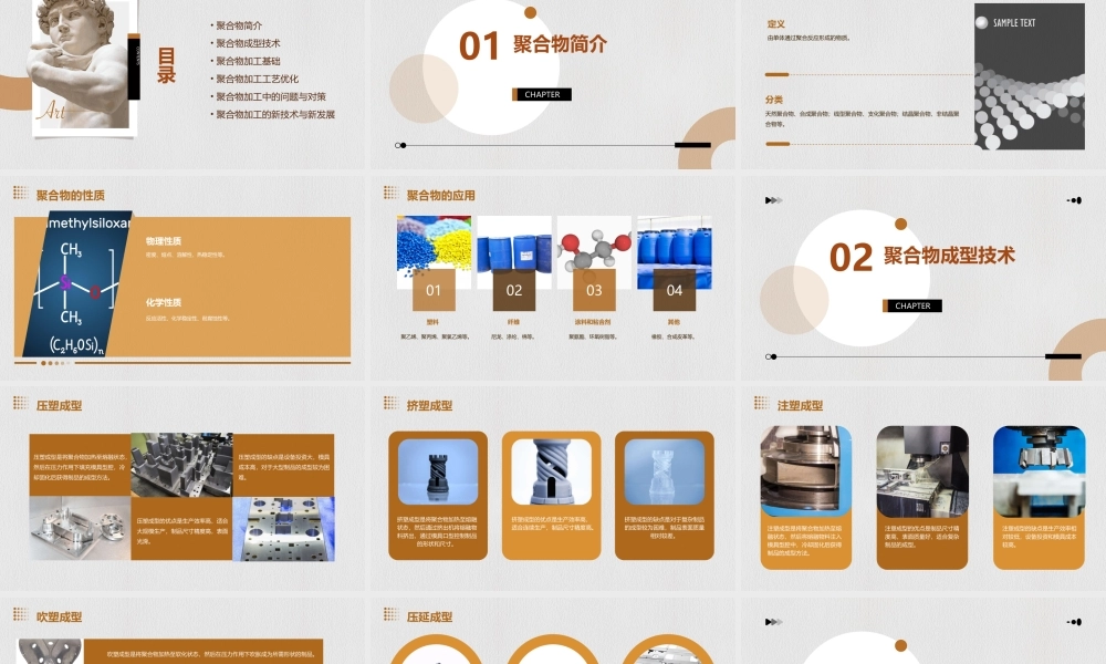 聚合物成型与加工基础分析课件