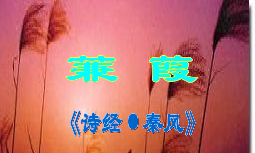 九年级语文下册 (蒹葭)优秀教学课件 人教新课标版 课件