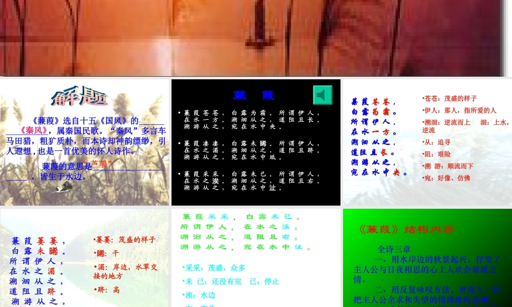 九年级语文下册 (蒹葭)优秀教学课件 人教新课标版 课件