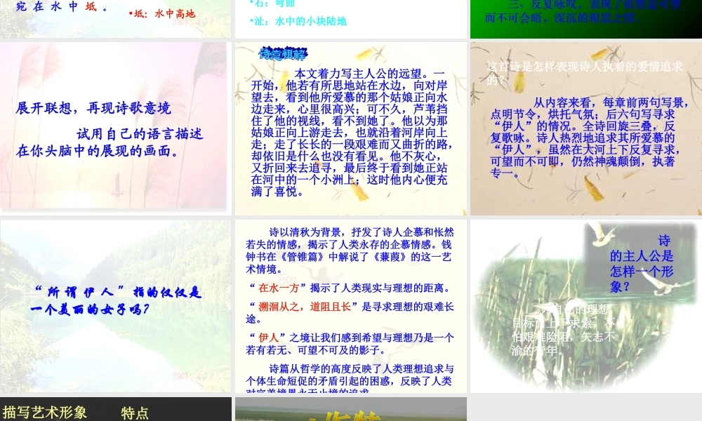 九年级语文下册 (蒹葭)优秀教学课件 人教新课标版 课件