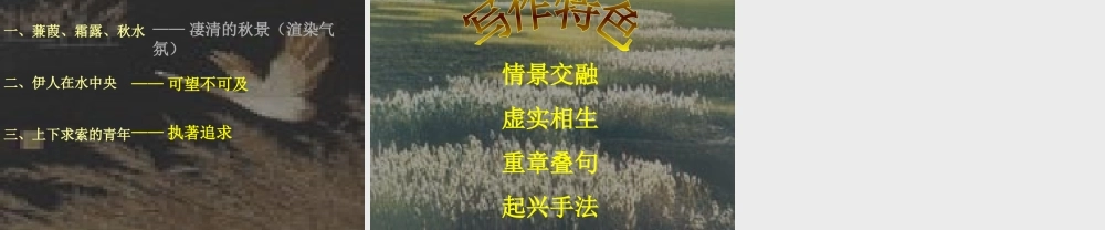 九年级语文下册 (蒹葭)优秀教学课件 人教新课标版 课件