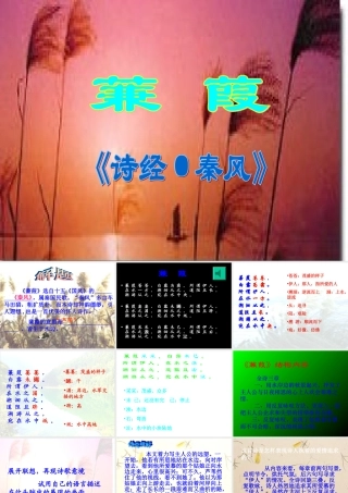 九年级语文下册 (蒹葭)优秀教学课件 人教新课标版 课件