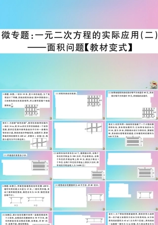 九年级数学上册 第21章(一元二次方程)微专题 一元二次方程的实际应用(二)—面积问题作业课件 (新版)新人教版 课件