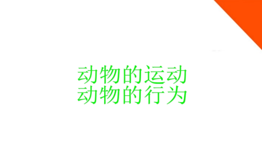 七年级生物上册 动物的运动 行为 作用课件 济南版 课件