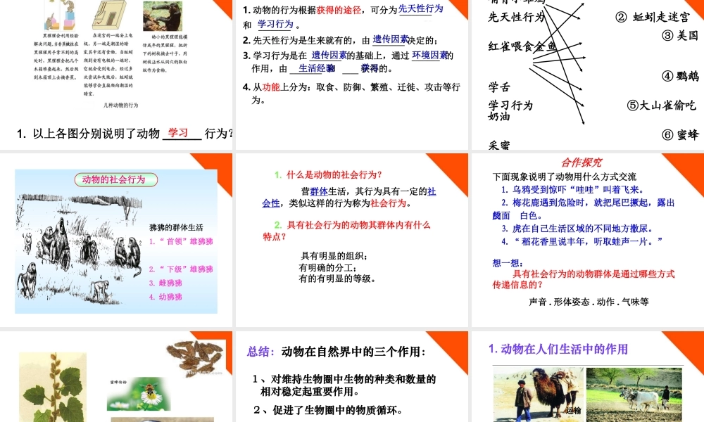 七年级生物上册 动物的运动 行为 作用课件 济南版 课件