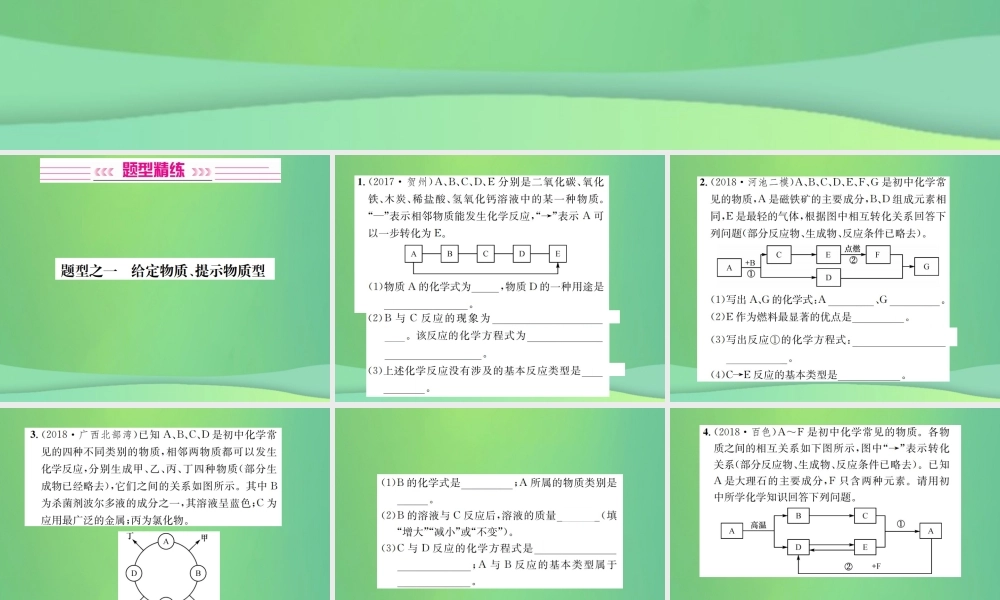 中考化学总复习 中考6大题型轻松搞定 题型复习(二)推断题之一 给定物质提示物质型课件