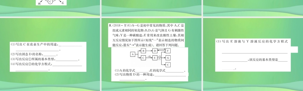 中考化学总复习 中考6大题型轻松搞定 题型复习(二)推断题之一 给定物质提示物质型课件