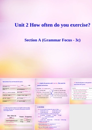 八年级英语上册 Unit 2 How often do you exercise Section A(Grammar Focus 3c)课件 (新版)人教新目标版 课件