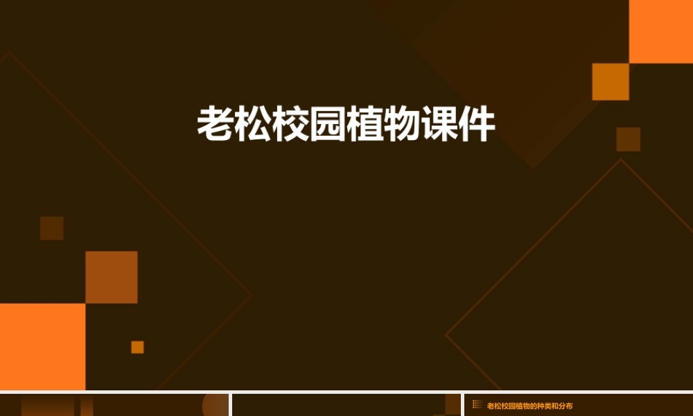 老松校园植物课件