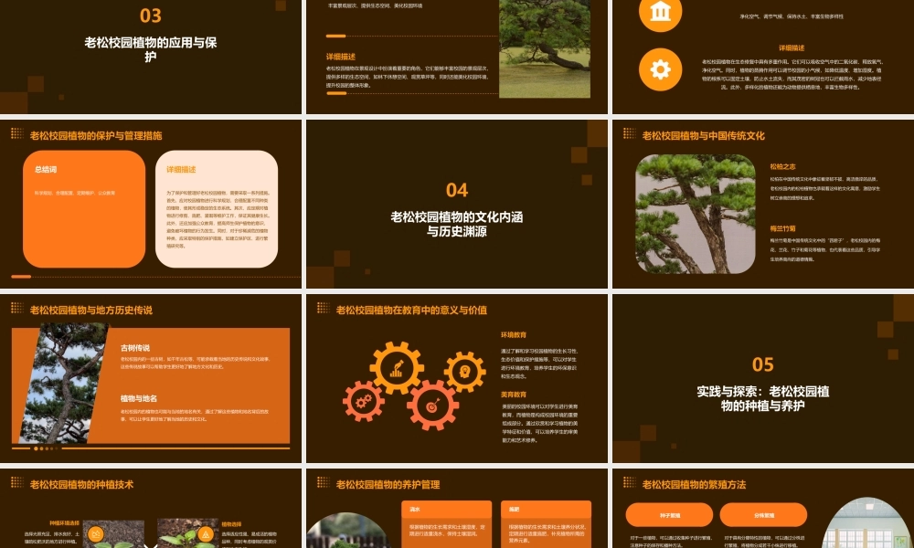 老松校园植物课件