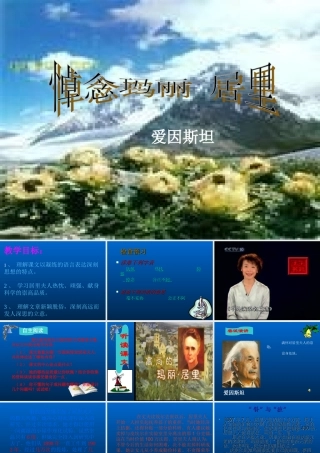 八年级语文下册(悼念玛丽.居里)课件 鲁教版 课件