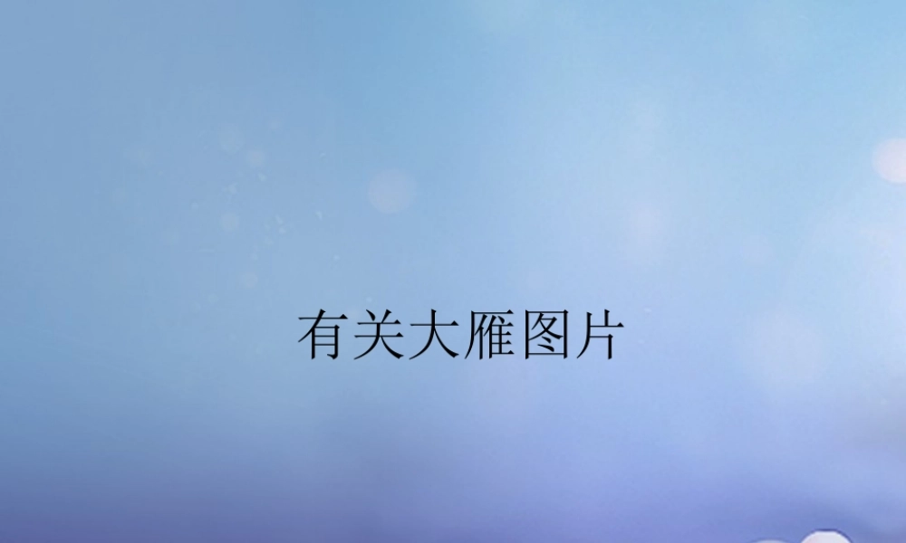 八年级语文下册 14(大雁归来)大雁图片素材 (新版)新人教版 素材