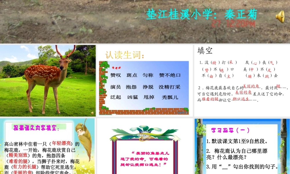 一只梅花鹿课件