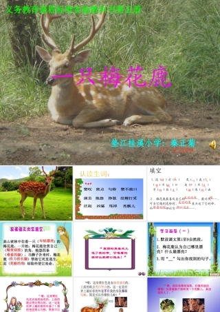 一只梅花鹿课件