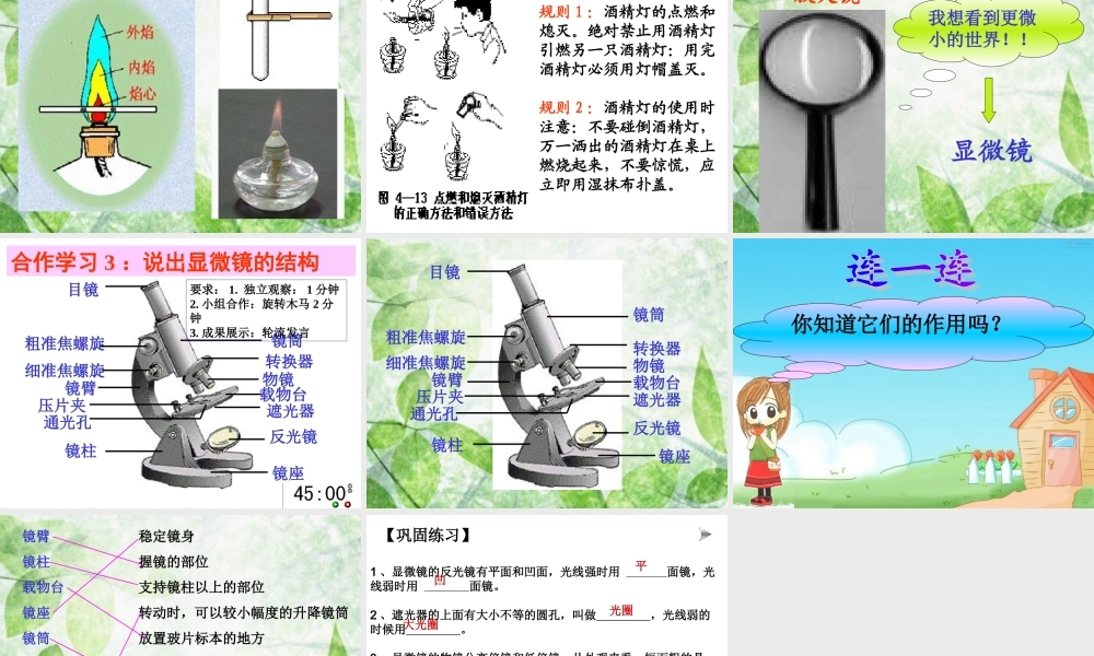 生物学的基本研究方法