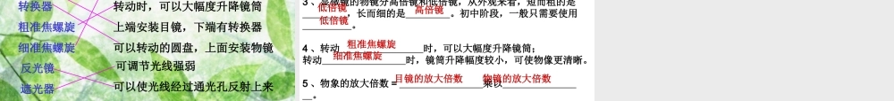 生物学的基本研究方法