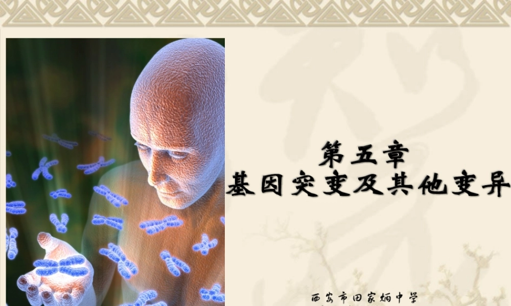 第五章第一节基因突变