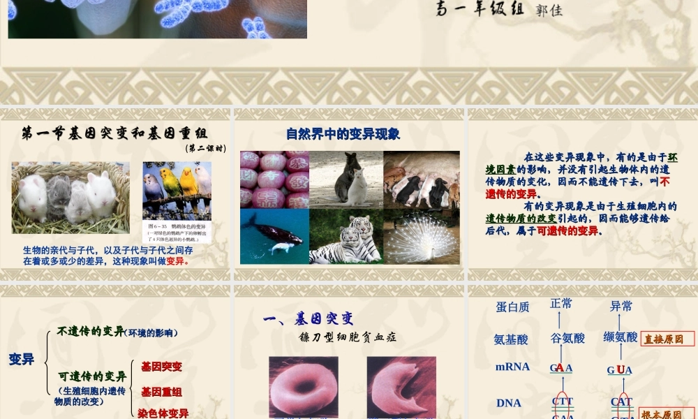 第五章第一节基因突变