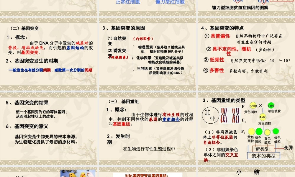 第五章第一节基因突变