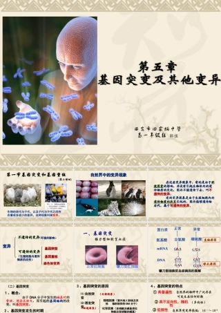 第五章第一节基因突变