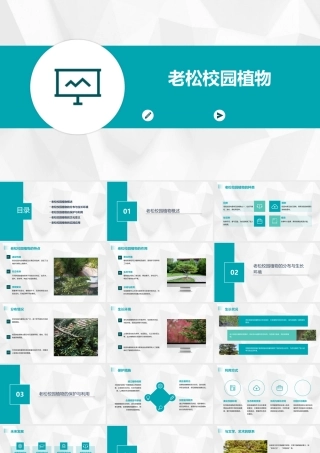 老松校园植物老松国小课件