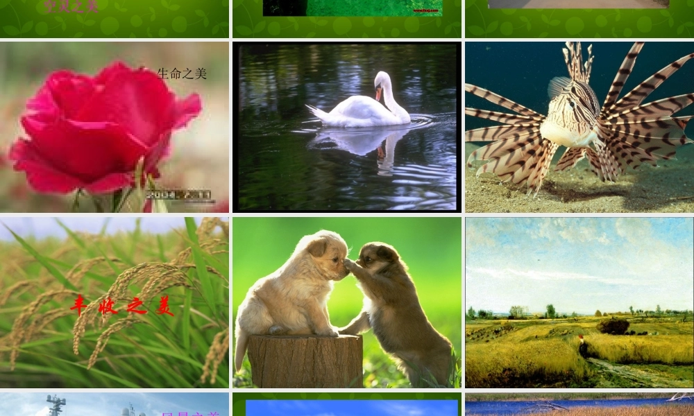 七年级生物下册 第四单元 第七章 人类活动对生物圈的影响课件 新人教版 课件