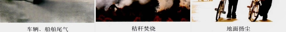 七年级生物下册 第四单元 第七章 人类活动对生物圈的影响课件 新人教版 课件