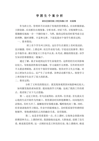 学困生个案分析