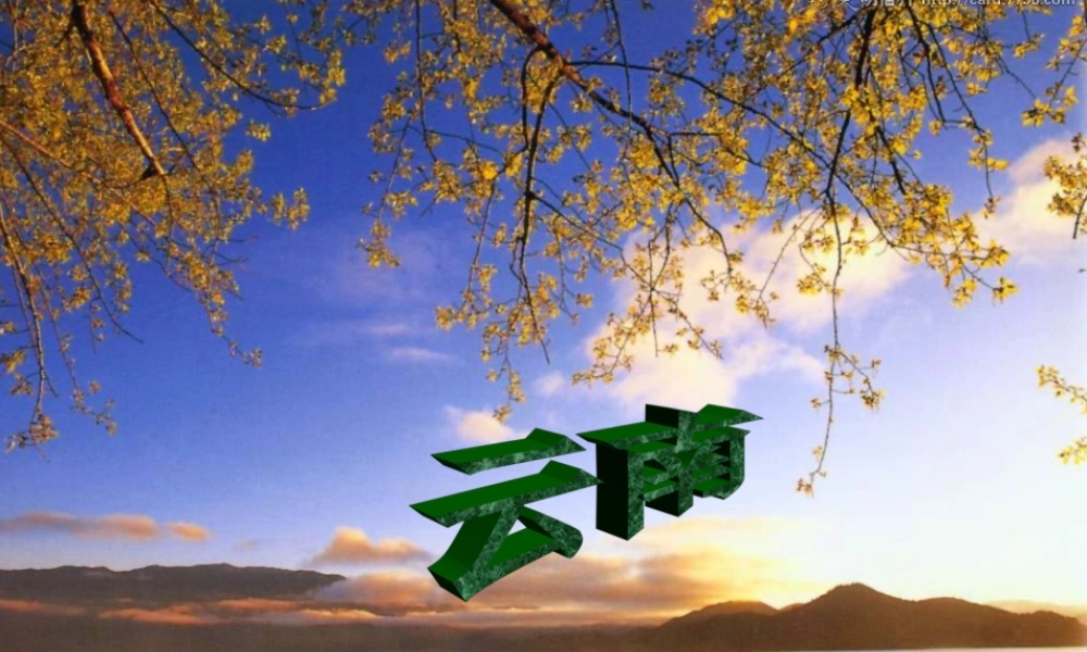 八年级语文上册 1(云南的歌会)课件 鲁教版五四制 课件