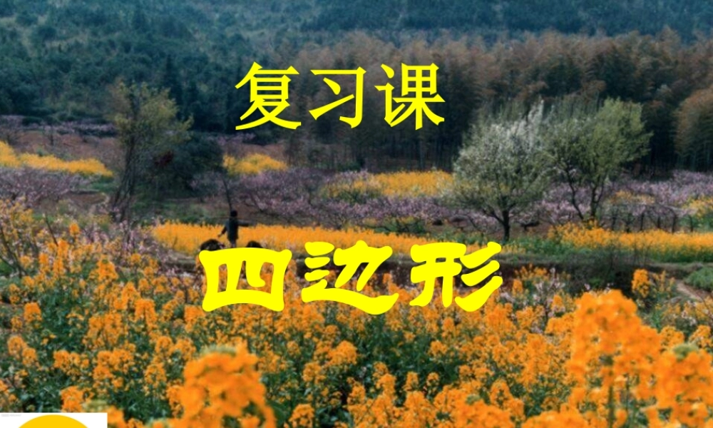 九年级数学几种特殊四边形复习课件华东师大版 课件