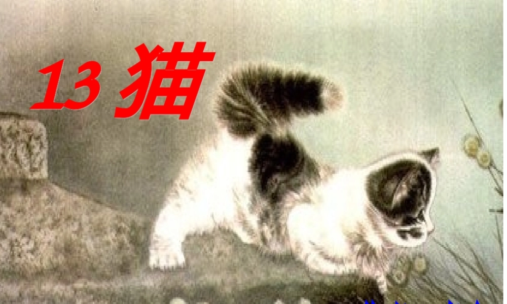 四年级语文上册第四组15猫课件