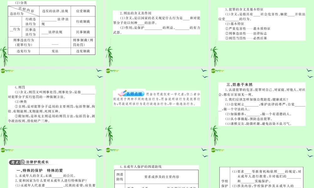 政治全程复习方略 第5讲 做知法守法用法的人课件 人教实验版 课件