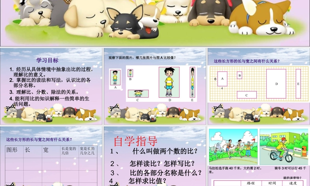 六年级数学上册四比的认识1生活中的比第一课时课件