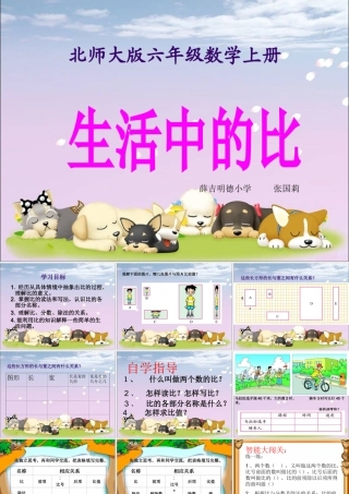 六年级数学上册四比的认识1生活中的比第一课时课件