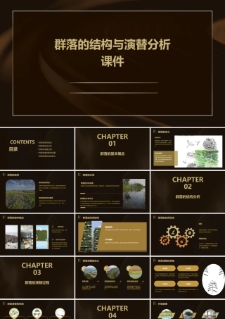 群落的结构与演替分析课件