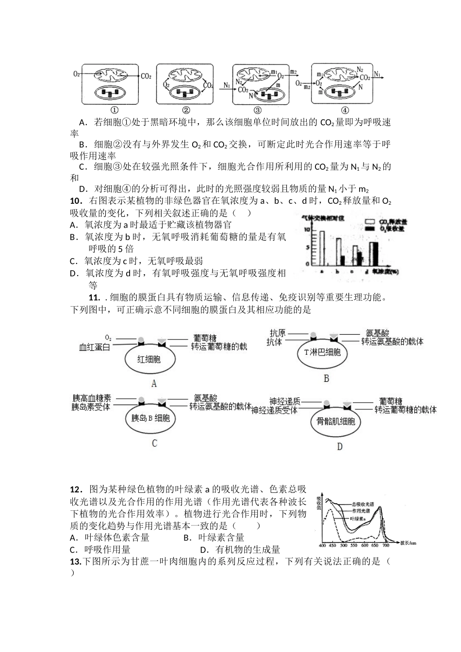 2015届实验中学高三原创月考试题生物_第3页