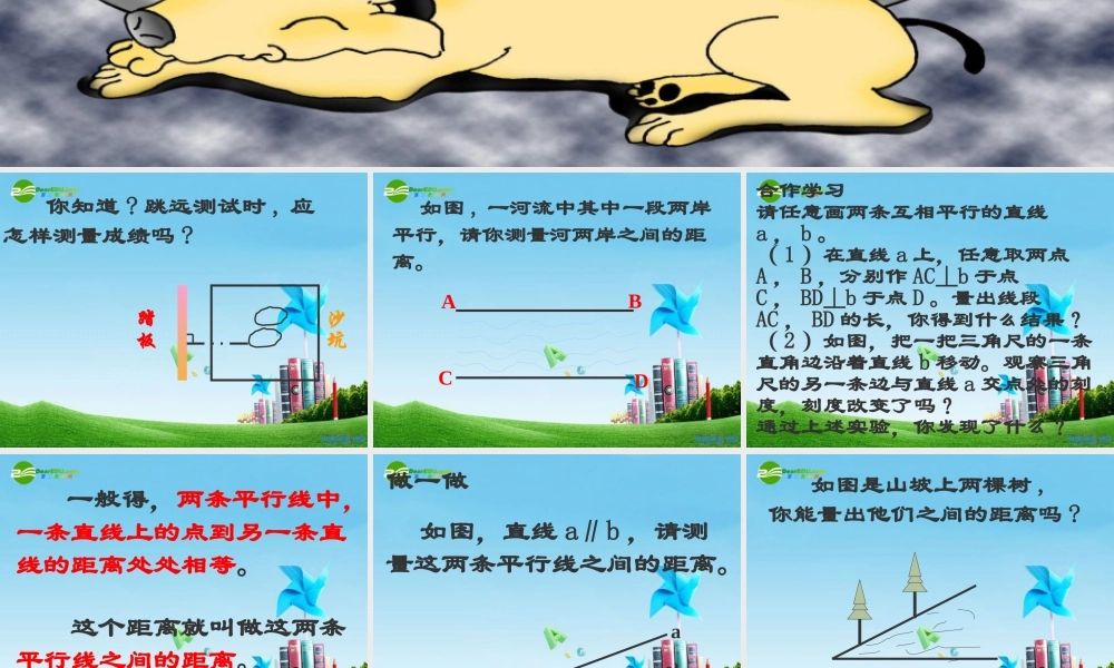 八年级数学上册 1.4平行线间的距离课件 浙教版 课件