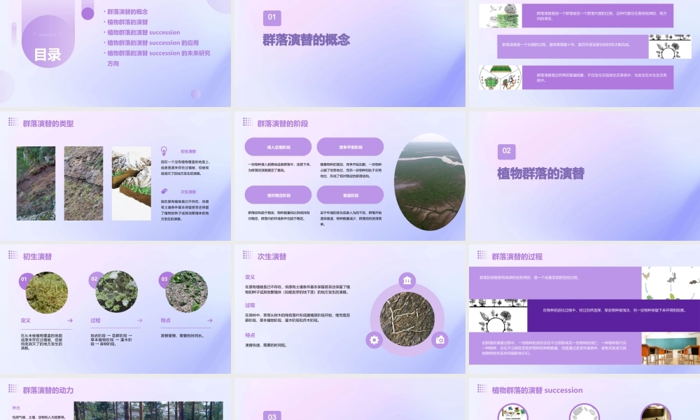 群落演替的概念植物群落的演替succession课件
