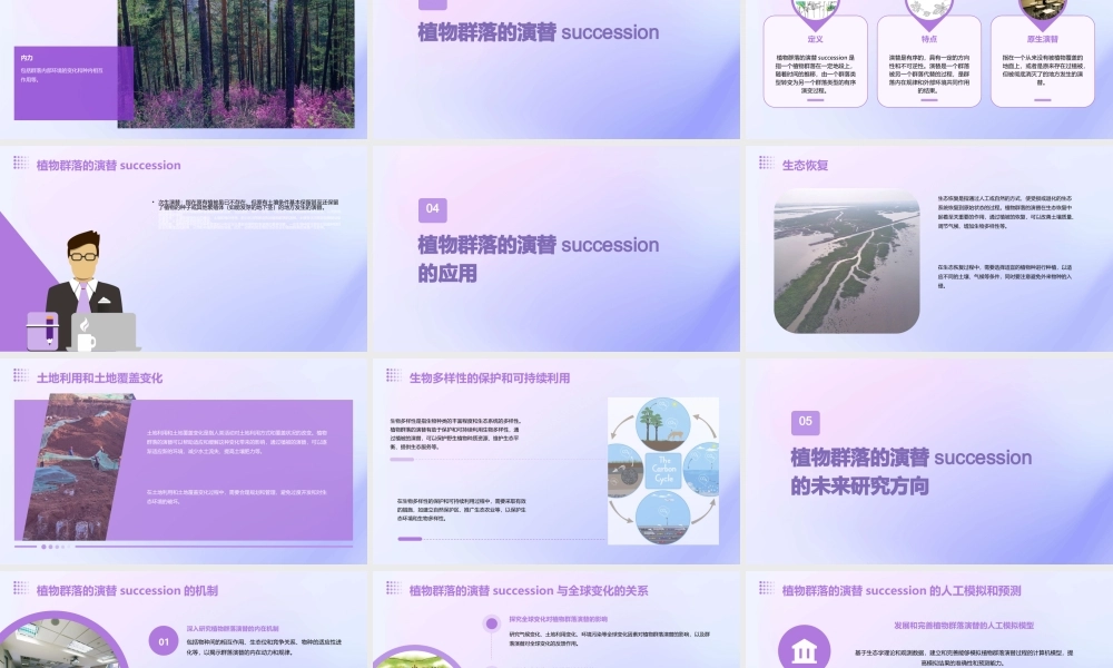 群落演替的概念植物群落的演替succession课件