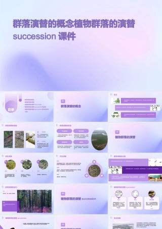 群落演替的概念植物群落的演替succession课件