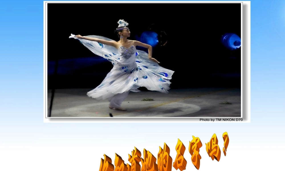 七年级生物下册 第一节人体对外界环境的感知_耳和听觉课件 人教新课标版 课件