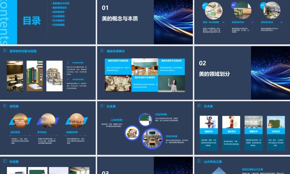 美的领域与分类分析课件