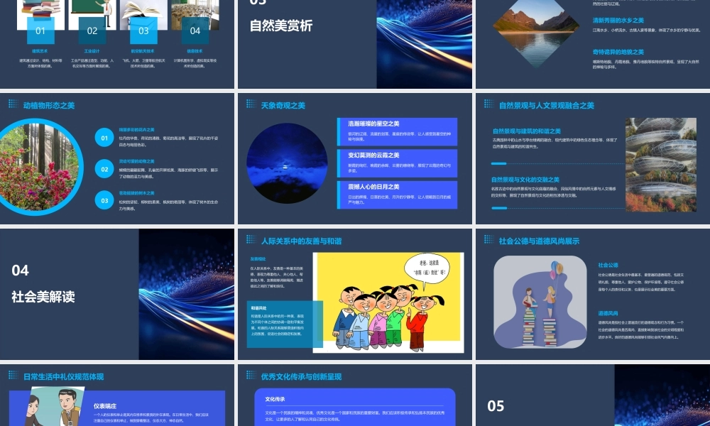 美的领域与分类分析课件