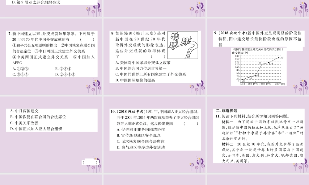 中考历史总复习 第一编 教材知识速查篇 模块二 中国现代史 第13讲 国防建设与外交成就(精练)课件
