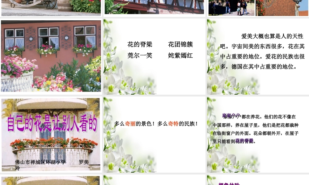 《自己的花是让别人看的》 (2)