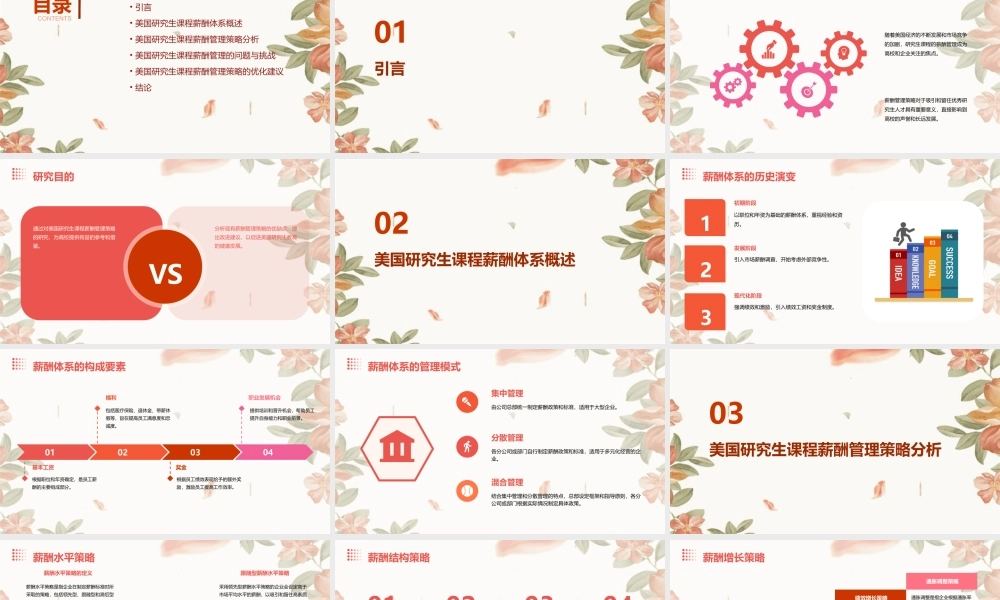 美国研究生课程薪酬管理策略薪酬课件