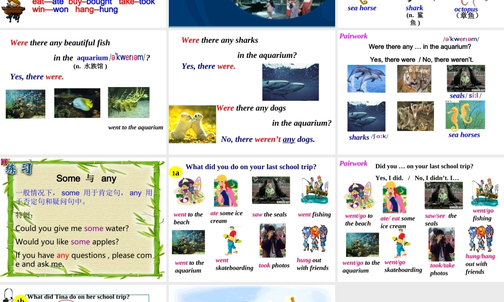 初二英语(Unit 8 How was your school trip) 八年级英语(Unit 8 How was your school trip)课件 八年级英语(Unit 8 How was your school trip)课件