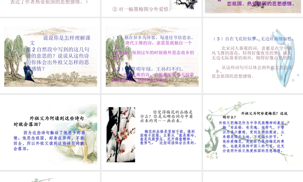 《梅花魂》 (2)