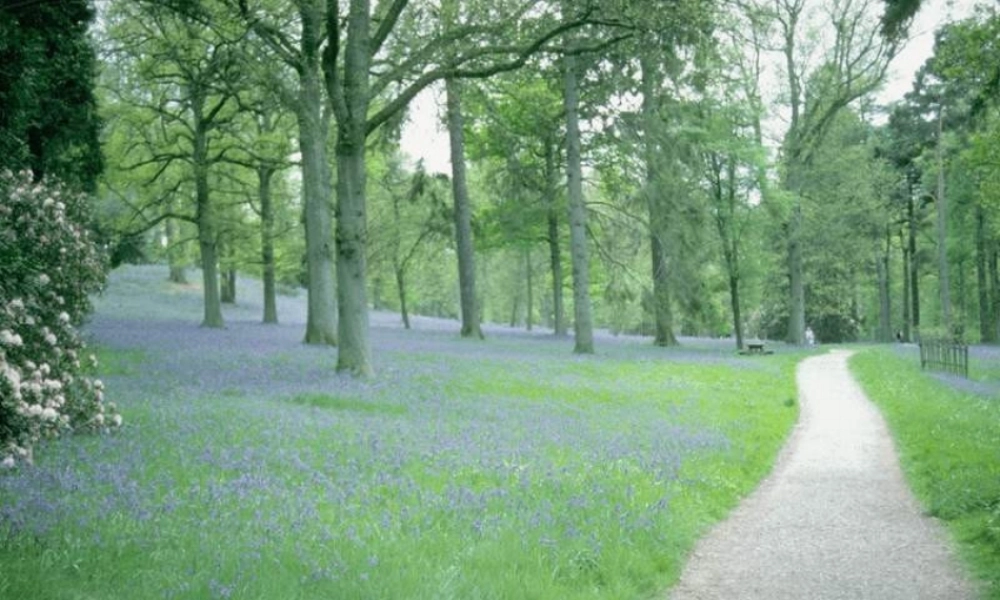 八年级语文上册16(大自然的语言)课件2 新人教版 课件