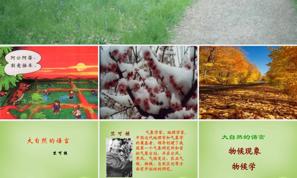 八年级语文上册16(大自然的语言)课件2 新人教版 课件